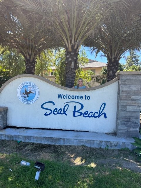 Featured image of The Seal Beach Sun and Beauty